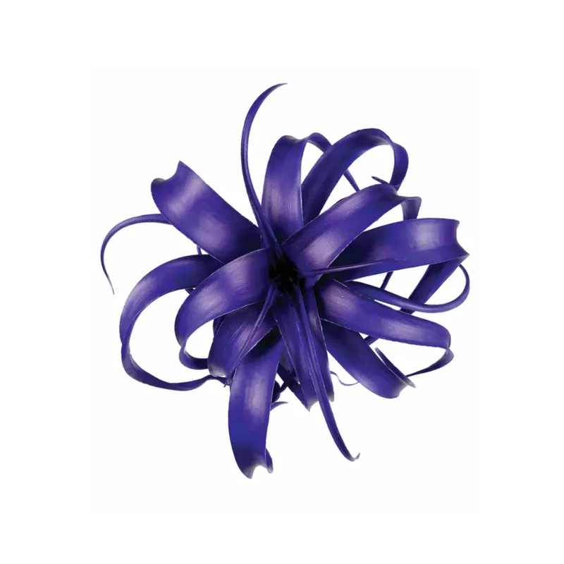 Feuillage de Tillandsia à piquer