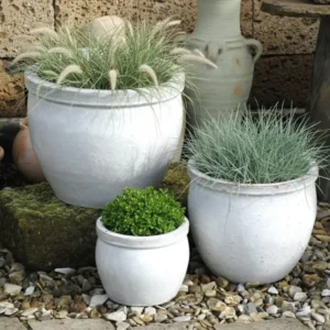 Pflanzkübel Pflanzgefäß Blumentopf antik weiß frostfest!3 Größen wählbar