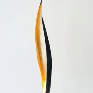 Stehlampe Barbone Rund 167 cm Gold von Holländer mit gehämmerter Oberfläche und schwarzem Eisen, elegant geschwungen