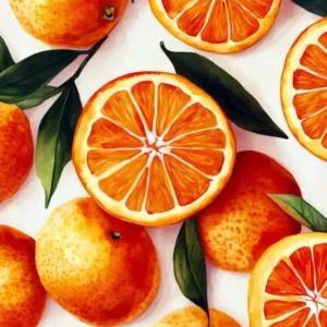 Evergreen Tropical Summer Fruits Oranges (7)