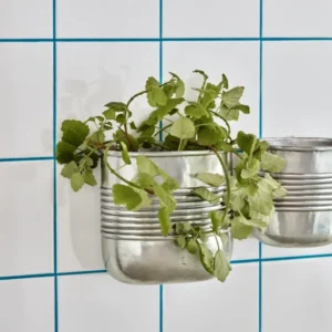 Plante, HDGroove, Antik sølvfinish