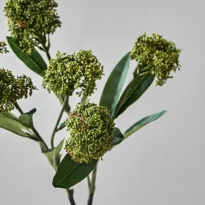 Artificial flower, HDSkimmia, Grøn