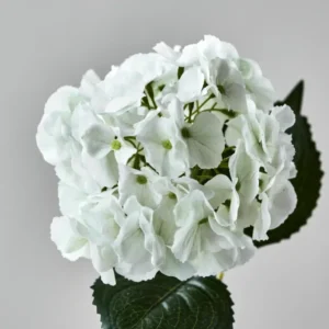 Artificial flower, HDHydrangea, Hvid