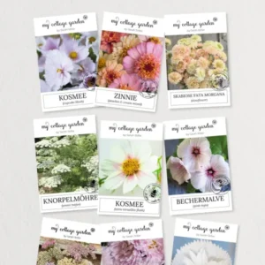 Schnittblumen zart – 9 Packungen