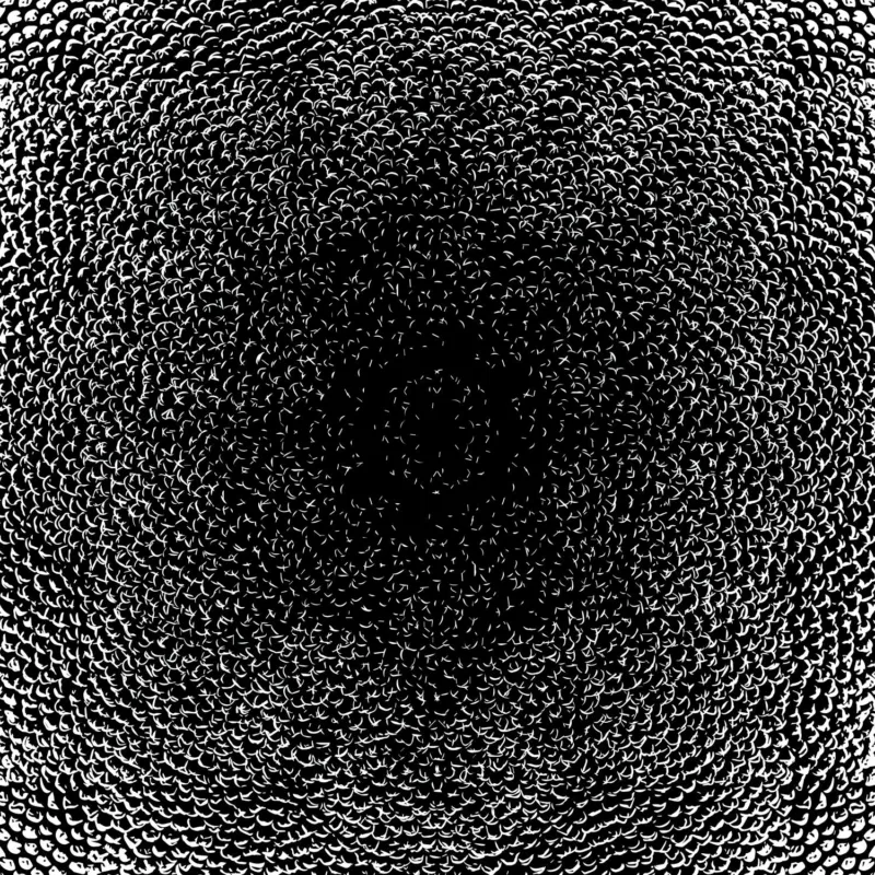 Medical Office Art - Skin Texture