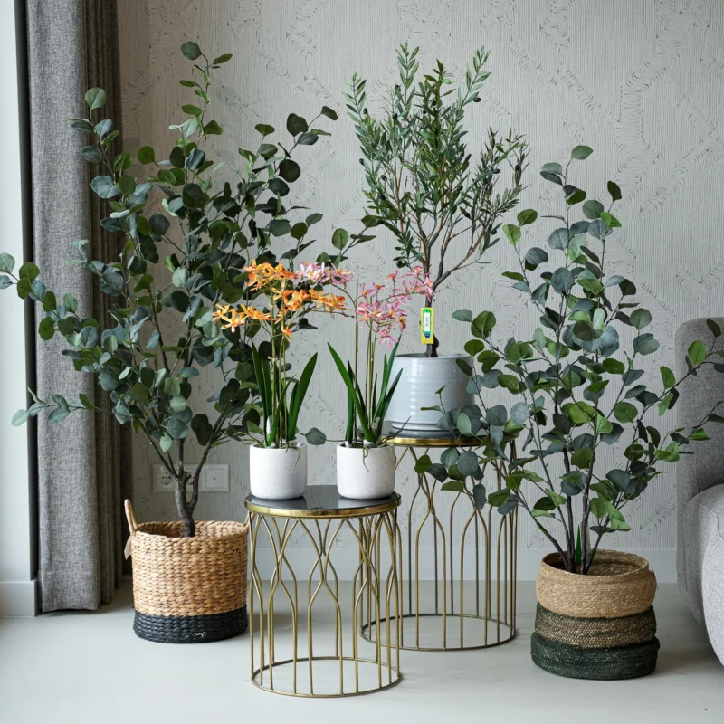 Ibiza set - 5 pcs - Artificial Plants - Bundle set
