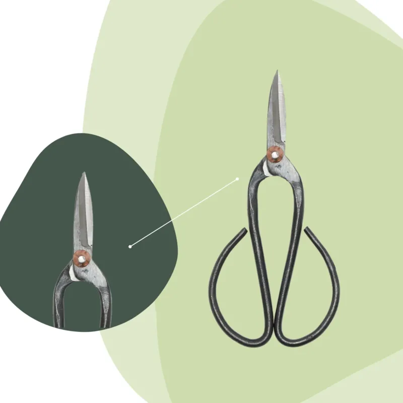 Bonsai shears L - 19 cm - Bonsai tool
