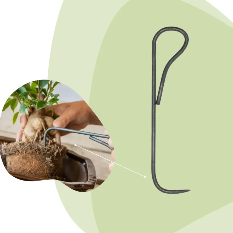 Bonsai root hook - 20,5 cm - Bonsai tool