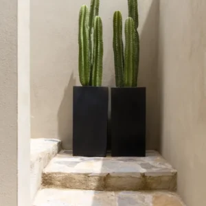 Bouvy Pflanzkübel Schwarz aus Fiberstone – runder Kübel im Lifestyle-Setting