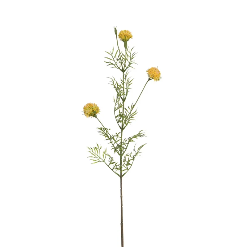 Tige de Chrysanthème Ping Pong 78 cm