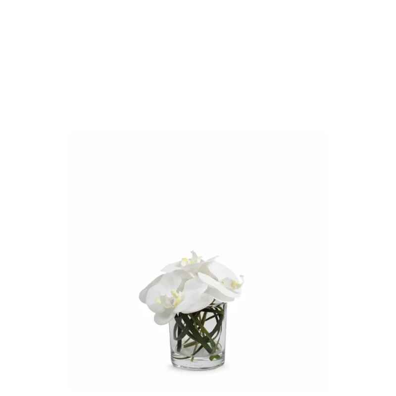 Composition d'Orchidée en vase conique Elie
