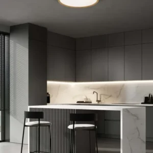 Cantria LED Deckenleuchte 3000K Schwarz, Gold moderne runde Deckenlampe für Küche und Wohnraum