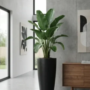 Dax Pflanzkübel Schwarz aus Fiberstone – konisch-hohe Form im Lifestyle-Setting