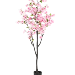 Die künstliche Kirschblüte 180 cm rosa hat rosa Blüten und grüne Blätter in einem kleinen schwarzen Topf vor einem schlichten weißen Hintergrund.