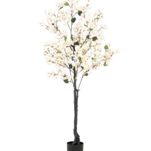 Die künstliche Bougainvillea 180 cm weiß ist ein hoher Kunstbaum mit dunklen Zweigen, kleinen grünen Blättern und weißen LED-Lichtern in einem einfachen schwarzen Topf vor einem schlichten weißen Hintergrund.