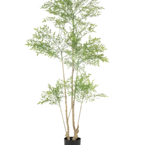 Die Kunstpflanze Ruscus 180 cm ist eine hohe Kunstpflanze mit mehreren schlanken Stämmen und zahlreichen kleinen grünen Blättern, die in einem einfachen schwarzen Topf vor einem weißen Hintergrund präsentiert wird.