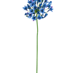 Die künstliche Blume Agapanthus 77 cm blau hat einen langen grünen Stiel mit einem Strauß leuchtend blauer und violetter Blüten auf einem schlichten weißen Hintergrund.