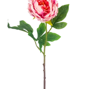Die künstliche Pfingstrose 61 cm rosa besteht aus einer einzelnen rosa Pfingstrose mit üppig grünen Blättern und einem langen braunen Stiel, isoliert auf einem weißen Hintergrund.