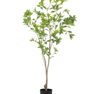 Die Kunstpflanze Pieris Japonica 150 cm hat schlanke Zweige und reichlich grüne Blätter in einem einfachen schwarzen Topf vor einem weißen Hintergrund.