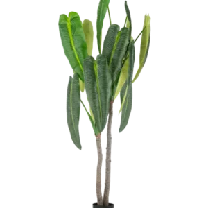 De Kunstplant Anthurium 210 cm heeft hoge, weelderige groene bladeren en twee bruine stelen in een kleine zwarte pot, tegen een eenvoudige witte achtergrond.