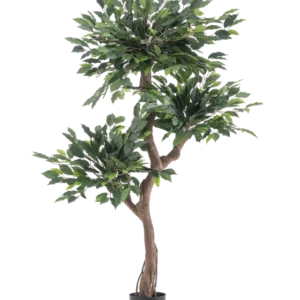 Die Kunstpflanze Ficus Crazy 150 cm ist ein hoher Kunstbaum mit drei Büscheln dichter grüner Blätter und einem gedrehten braunen Stamm in einem schlichten schwarzen Topf vor weißem Hintergrund.