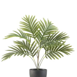 Die künstliche Palme Phönix 50 cm hat lange grüne, gebogene Blätter in einem runden schwarzen Ziertopf vor einem schlichten weißen Hintergrund.