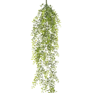 Die künstliche Hängepflanze Buxus 80 cm ist eine künstliche Hängepflanze mit langen, gewundenen grünen Ranken und kleinen runden Blättern vor weißem Hintergrund.