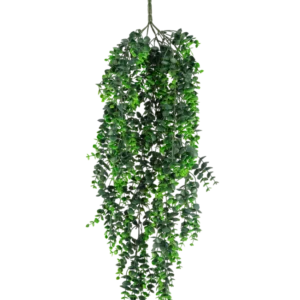 Die künstliche Hängepflanze Eukalyptus UV 80 cm hat dichte, herabhängende grüne Blätter und einen sichtbaren Stiel an der Spitze vor einem schlichten weißen Hintergrund.