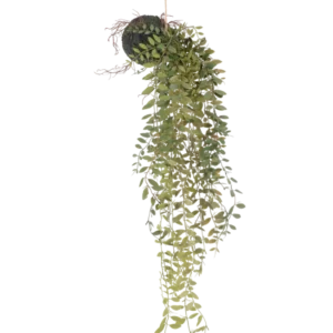 Die künstliche Hängepflanze Pumila Kugel 30 cm hat lange, gewundene grüne Ranken mit kleinen Blättern, die aus einer moosbedeckten Kugel hervorragen, die an einem Seil vor einem weißen Hintergrund aufgehängt ist.