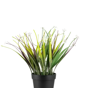 Die künstliche Graspflanze im Topf UV 26 cm hat lange grüne und violette Blätter mit kleinen weißen Blüten, die in einem einfachen schwarzen Topf angeordnet sind und vor einem weißen Hintergrund zur Geltung kommen.
