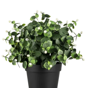 Die Kunstpflanze Eukalyptus weiß im UV-Topf 22 cm hat dichte grüne Blätter und kleine weiße Knospen in einem schlichten schwarzen Topf, perfekt, um jeden Raum aufzuhellen.