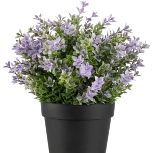 Die Kunstpflanze Buxus lila UV 22 cm hat einen schwarzen Blumentopf mit einer üppigen Kunstpflanze mit kleinen hellvioletten Blüten und grünen Blättern vor einem schlichten weißen Hintergrund.