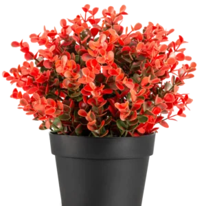Die Kunstpflanze Buxus rot im Topf UV 19 cm ist ein kompakter schwarzer Blumentopf mit einer üppigen Mischung aus roten und grünen Kunstblättern vor einem schlichten weißen Hintergrund.