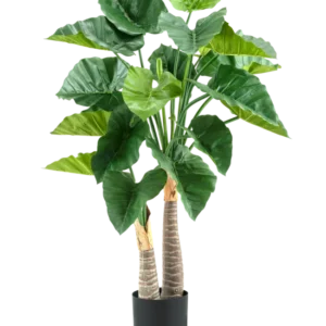 Die Kunstpflanze Alocasia 120 cm hat große, glänzend grüne Blätter und zwei dicke, strukturierte Stängel in einem schlichten schwarzen Topf vor einem weißen Hintergrund.