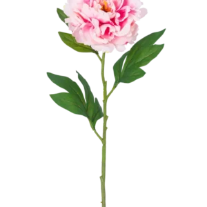 Eine einzelne künstliche Pfingstrose, 77 cm, hellrosa mit üppigen grünen Blättern vor einem schlichten weißen Hintergrund.