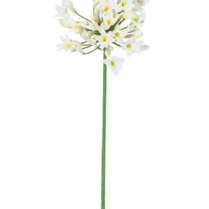Die künstliche Blume Agapanthus 77 cm weiß hat einen einzelnen hohen grünen Stiel mit einem Strauß kleiner weißer Blüten mit gelbem Herzen vor einem schlichten weißen Hintergrund.