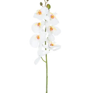 Die künstliche Blumenorchidee 84 cm weiß hat einen einzelnen Stiel aus weißen Orchideenblüten mit gelben und rosa Herzen und grünen Blütenknospen an der Spitze vor einem schlichten weißen Hintergrund.
