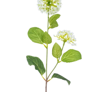 Der künstliche Blumenschneeball/Viburnum (70 cm) hat zwei Büschel kleiner weißer Blüten und mehrere grüne ovale Blätter an einem Stiel vor einem weißen Hintergrund.