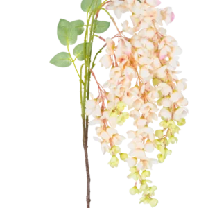 Die künstliche Glyzinienblume 100 cm in Creme hat einen einzelnen Stiel mit Büscheln hellrosa und cremefarbener Glyzinienblüten, grünen Knospen und grünen Blättern vor einem weißen Hintergrund.