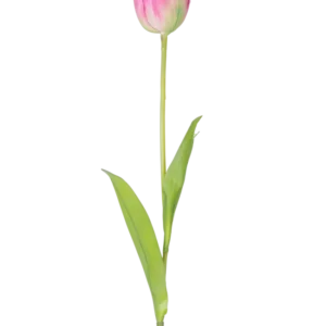 Eine einzelne künstliche französische Tulpe, 63 cm, rosa, mit einem langen grünen Stiel und zwei grünen Blättern, isoliert auf weißem Hintergrund.