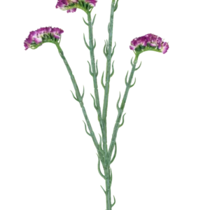 Der künstliche Zweig Statice 64 cm dunkelviolett hat drei schlanke grüne Stiele mit mehreren Zweigen, die jeweils mit einer Reihe kleiner, gerüschter dunkelvioletter Blüten bedeckt sind, alle vor einem weißen Hintergrund.