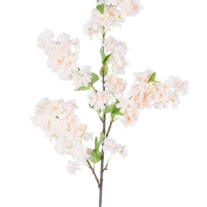 Ein einzelner künstlicher Kirschblütenzweig, 100 cm, weiß/rosa, mit Büscheln hellrosa und weißer Kirschblüten mit grünen Blättern, isoliert auf weißem Hintergrund.