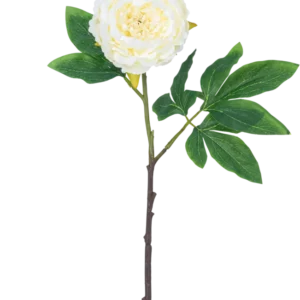 Künstliche Blume Pfingstrose 61 cm weiß: eine einzelne weiße Pfingstrose mit geschichteten Blütenblättern, grünen Blättern und einem langen braunen Stiel, isoliert auf weißem Hintergrund.