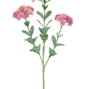 Der künstliche Zweig Sedum 56 cm hellrosa hat einen einzelnen grünen Stiel mit mehreren Zweigen, die jeweils mit Büscheln kleiner, hellrosa Blüten mit abgerundeten Blütenblättern vor einem weißen Hintergrund verziert sind.