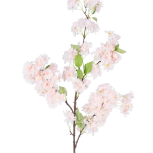 Eine einzelne künstliche Kirschblüte 100 cm hellrosa hat Büschel hellrosa Kirschblüten mit grünen Blättern auf weißem Hintergrund.