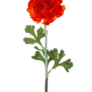 Die künstliche Ranunkelblume 51 cm dunkelorange hat eine leuchtend dunkelorangefarbene künstliche Ranunkelblume mit geschichteten Blütenblättern und grünen, gelappten Blättern an einem langen Stiel vor einem schlichten weißen Hintergrund.