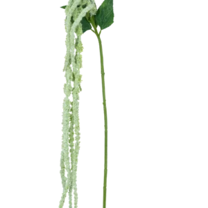 Die Kunstblume Amaranthus 124 cm grün hat einen einzelnen grünen Stiel mit langen, hängenden Büscheln kleiner, hellgrüner Blüten und zwei große grüne Blätter vor einem weißen Hintergrund.