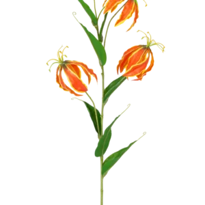 Die Kunstblume Gloriosa Real Touch Orange 75 cm hat einen hohen grünen Stiel mit drei großen orangefarbenen und gelben Lilien und langen, schlanken grünen Blättern, die wunderschön auf einem weißen Hintergrund zur Geltung kommen.