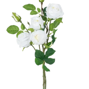 Der künstliche Rosenzweig Double Real Touch weiß 80 cm hat einen Stiel mit drei blühenden weißen Kunstrosen, grünen Blättern und Rosenknospen vor einem schlichten weißen Hintergrund.