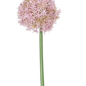 Ein einzelner hoher violetter Stiel der künstlichen Blume Allium Large 80 cm, der eine große, runde Gruppe kleiner sternförmiger Blüten trägt, abgebildet auf einem weißen Hintergrund.